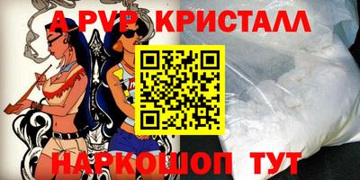 гашик Бийск
