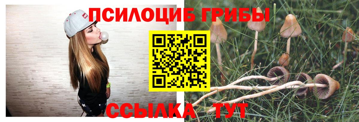 Екатеринбург  закладки  Вход с VPN  Галлюциногенные грибы Cubensis  Псилоцибиновые грибы ЛСД 