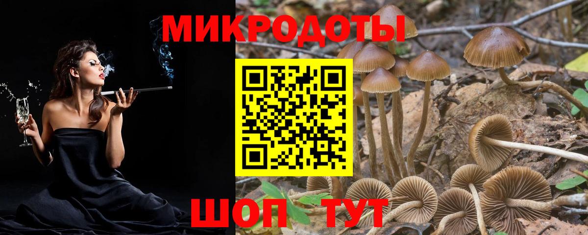 Магазины продажи наркотиков  APVP СК   Экстази  NBOMe  ГАШ  Екатеринбург  Вход с VPN  Меф кристаллы  Канабис 