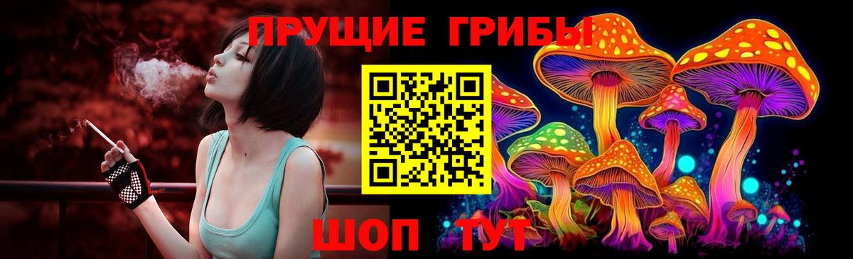 Галлюциногенные грибы Psilocybe Екатеринбург